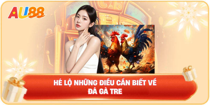 Hé lộ những điều cần biết về đá gà tre
